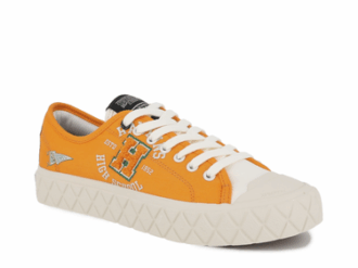 Palla Ace Tigers