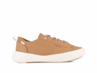 Pallanova Lo Lth