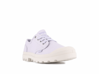 Pampa Oxford